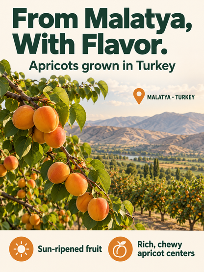 🍑  Creamy Yogurt-Coated Turkish Apricots🤍